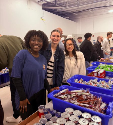 Service project 2026